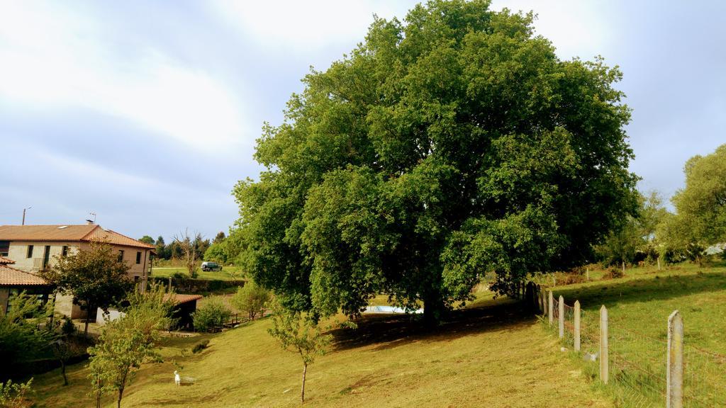 Caserio De Fontes Nogueira De Ramuin Eksteriør billede